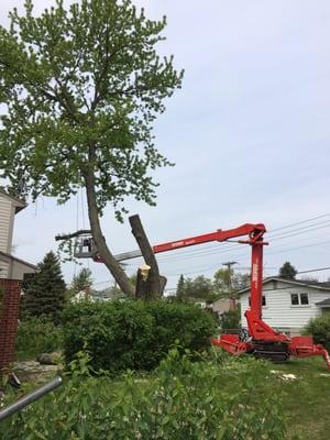 "The Spider" we called it walked into the yard and gave a great angle for the workers to chainsaw limbs safely.