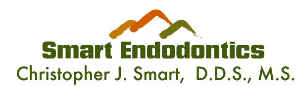 Smart Endodontics