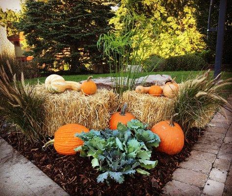 Fall Seasonal Display