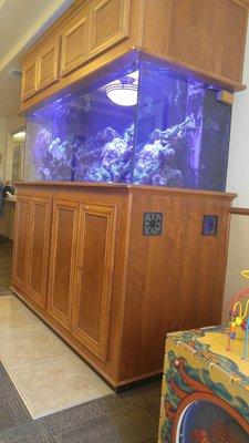 Nice fish tank in the waiting room.