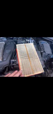 Cabin Air Filter