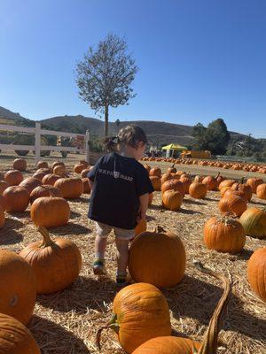 Underwood Farms field trip!