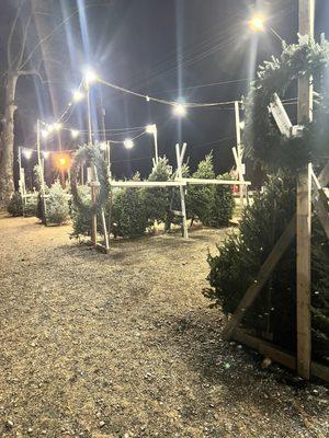 Hilltop Farms Christmas Trees