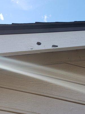 Inspect house trim for damage