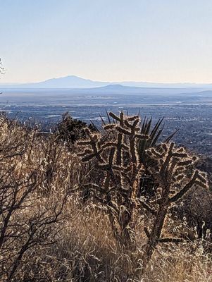 Sierra Ladrones and Cerro los Lunas viewed from the N face of Oso Ridge, accessed just S of the trailhead.