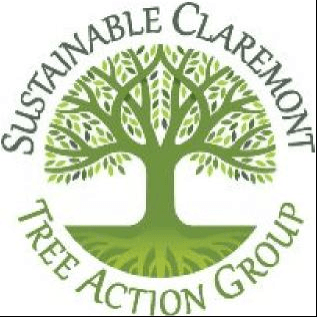 Join ourTree Action Group to support our urban forest.