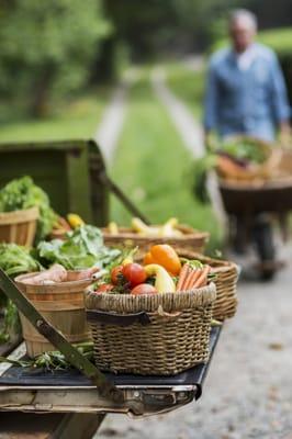 Fresh farmers market