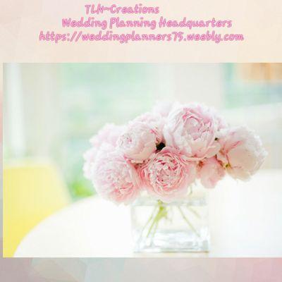 Tln Creations Wedding Planning