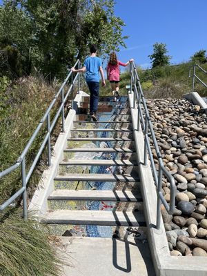 Steps leading to trail