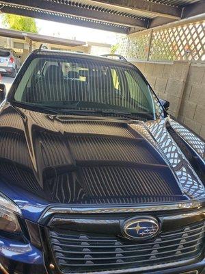 Exclusive Package for a Subaru Forester