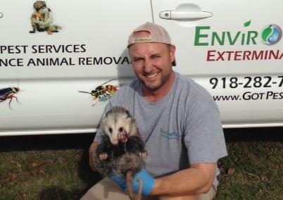 Wildlife Removal Services