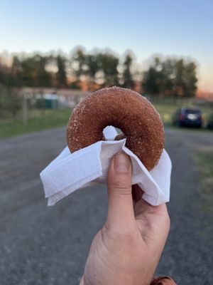 Apple cinnamon doughnut