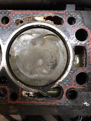 Blown Head Gasket