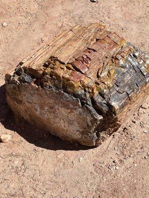 Petrified log.