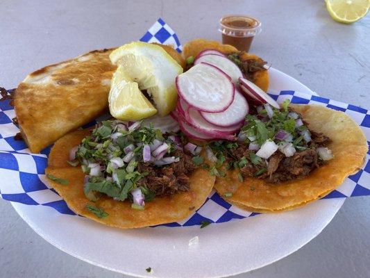 Birria Tacos + Quesabirria