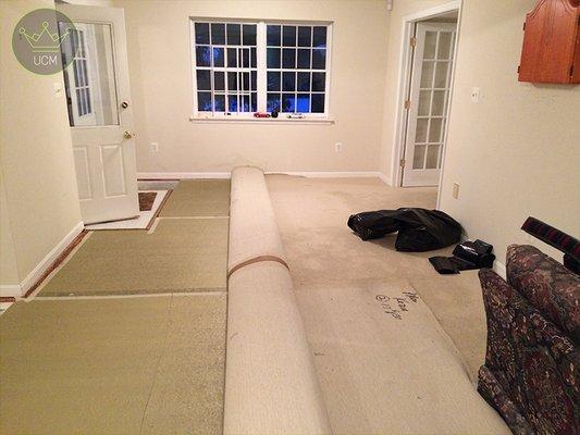 Carpet Removal