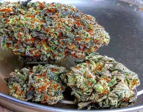 photo of Bundes Marijuana S.