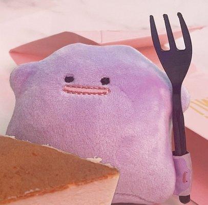 photo of Ditto -.