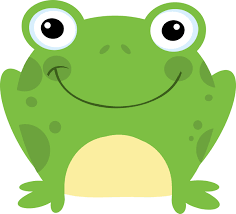 Photo of Frog C.