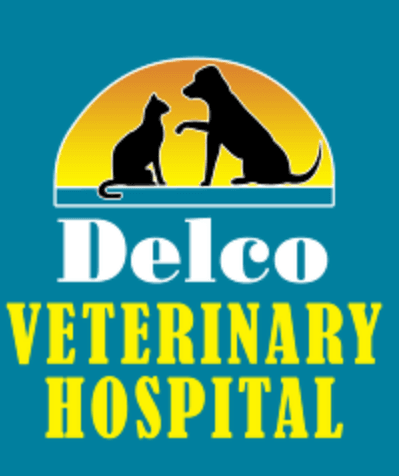 Delco Veterinary Hospital