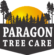 Paragon Tree Care