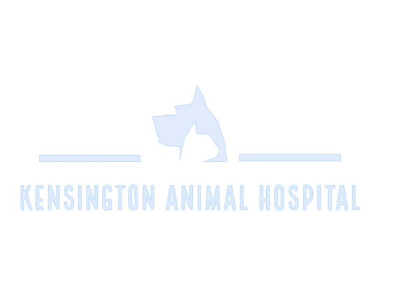 Kensington Animal Hospital