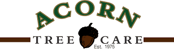 Acorn Tree Care