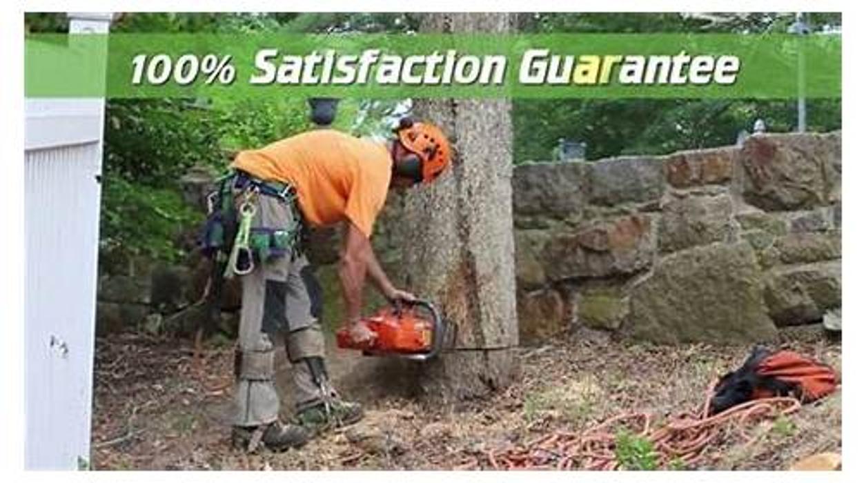 Iron Tree Service