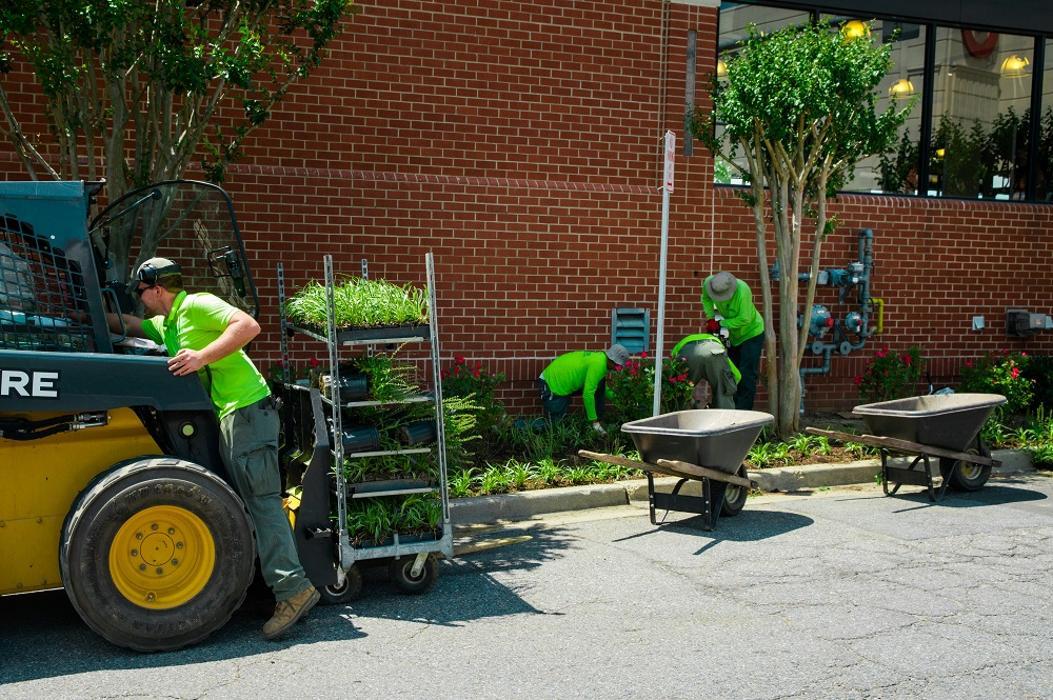 Level Green Landscaping