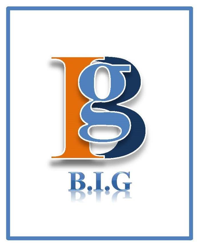 The B.I.G Co & More, LLC