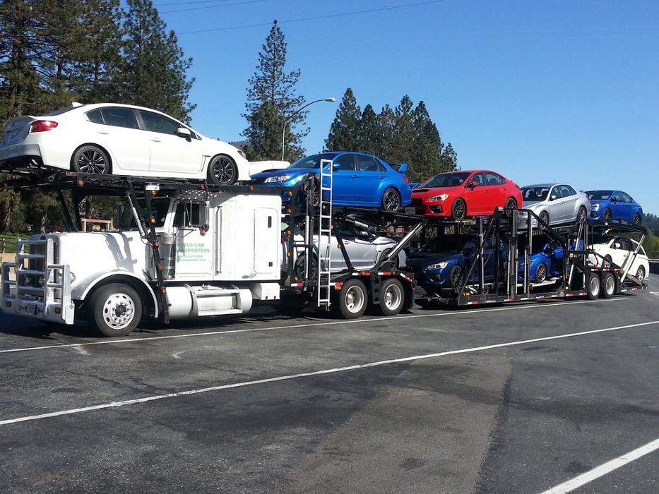 Focus Car Transporters