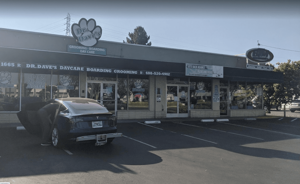 Dr. Dave's Doggy Daycare, Boarding, & Grooming