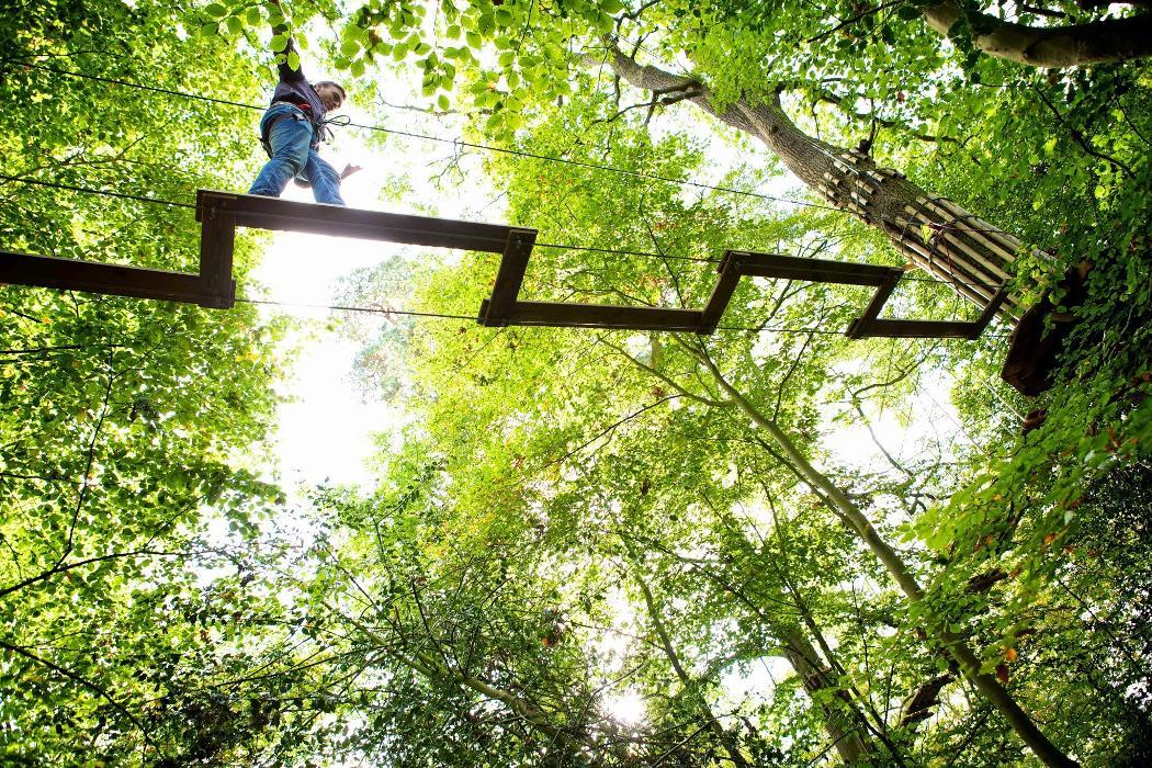 Go Ape Zipline and Adventure Park