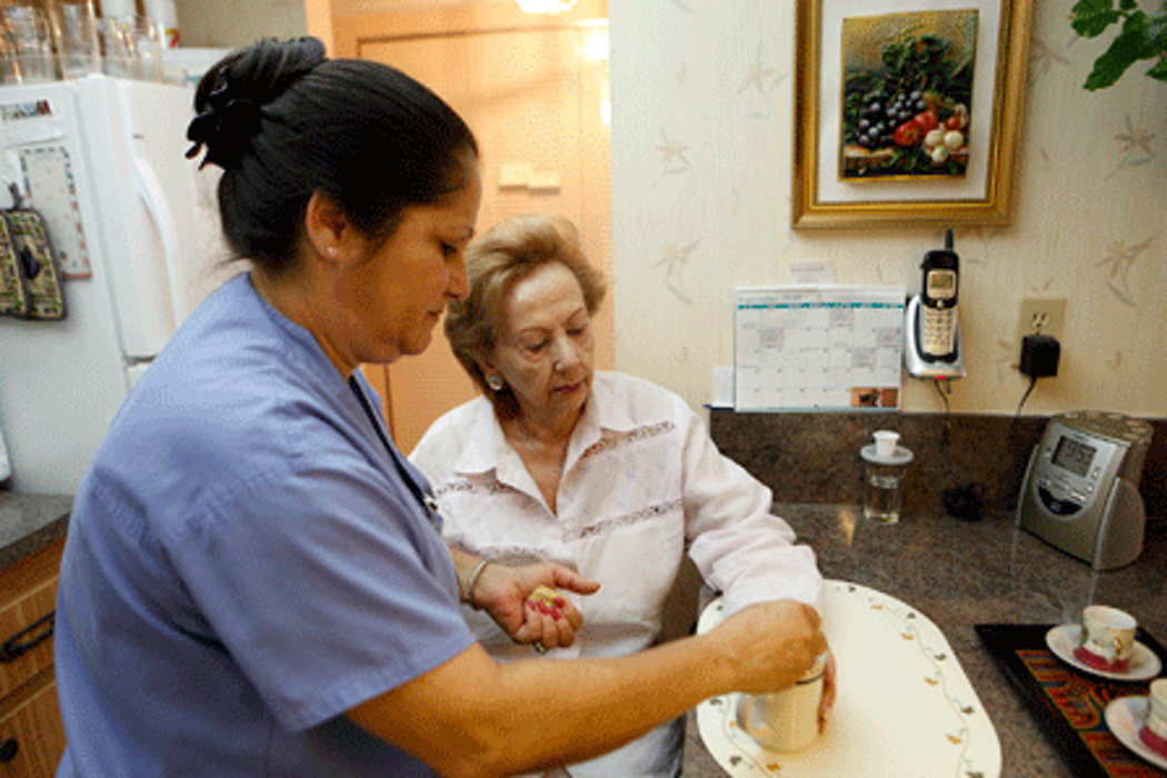 Ideal Home Care Services