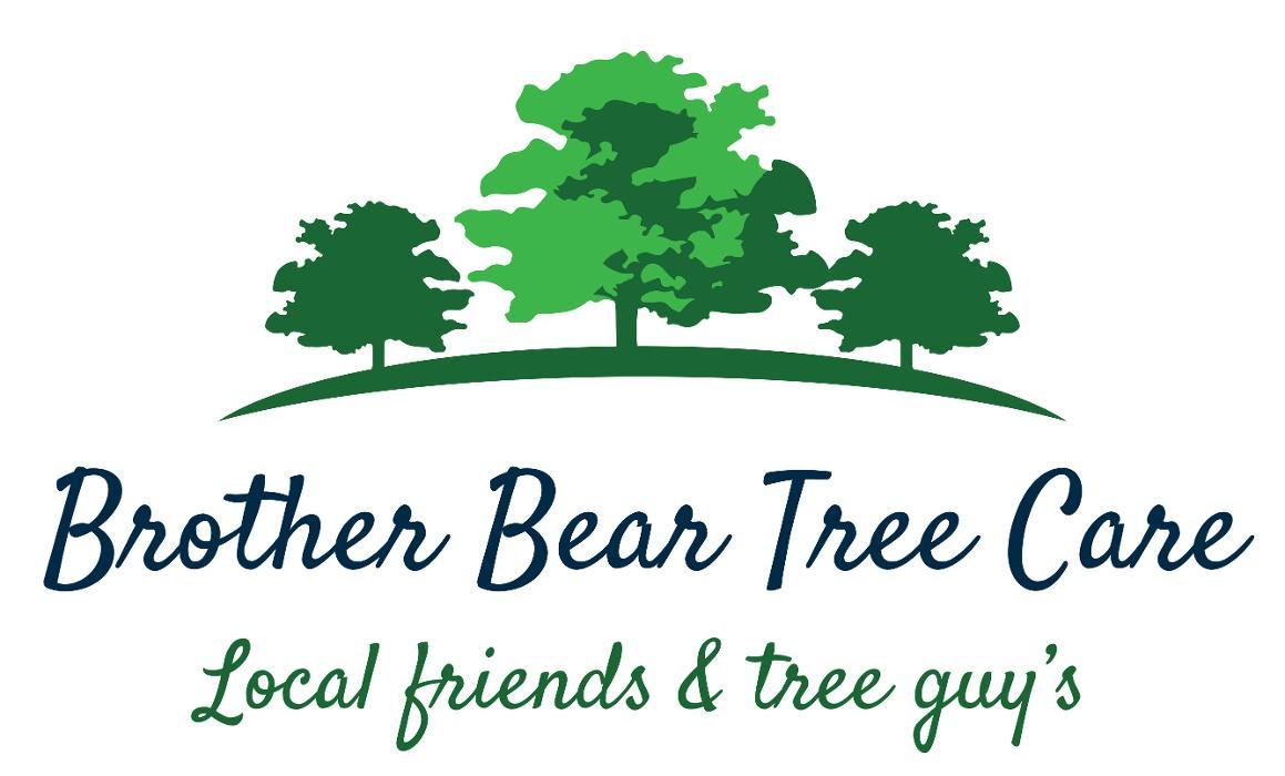 Brother Bear Tree Care