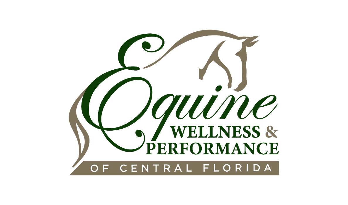 Equine Wellness and Performance of Central Florida