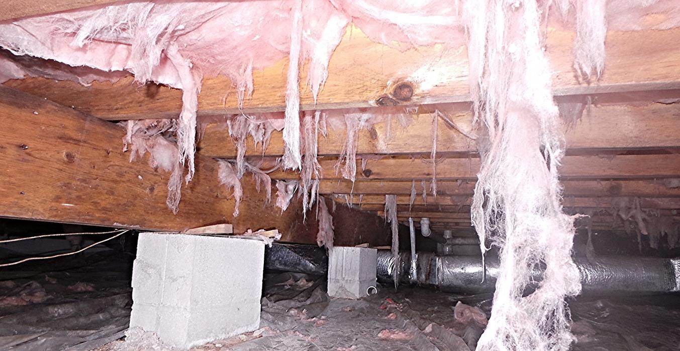 DryTek Crawlspace Solutions