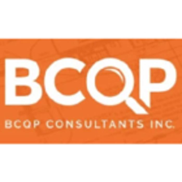 BCQP Consultants Inc.