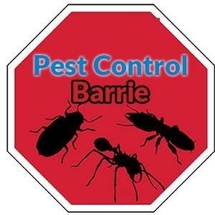 Pest Control Barrie