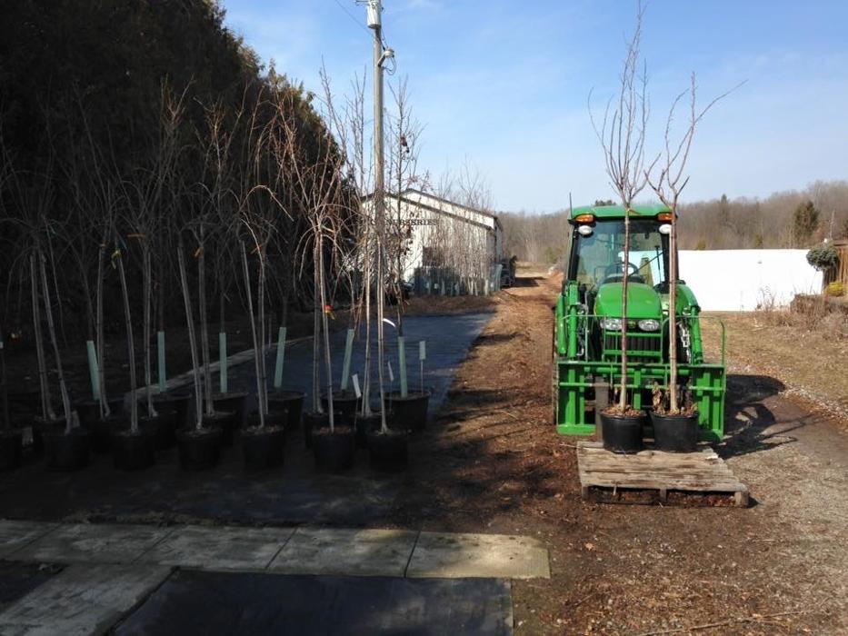 Nanticoke Nurseries & Garden Centre