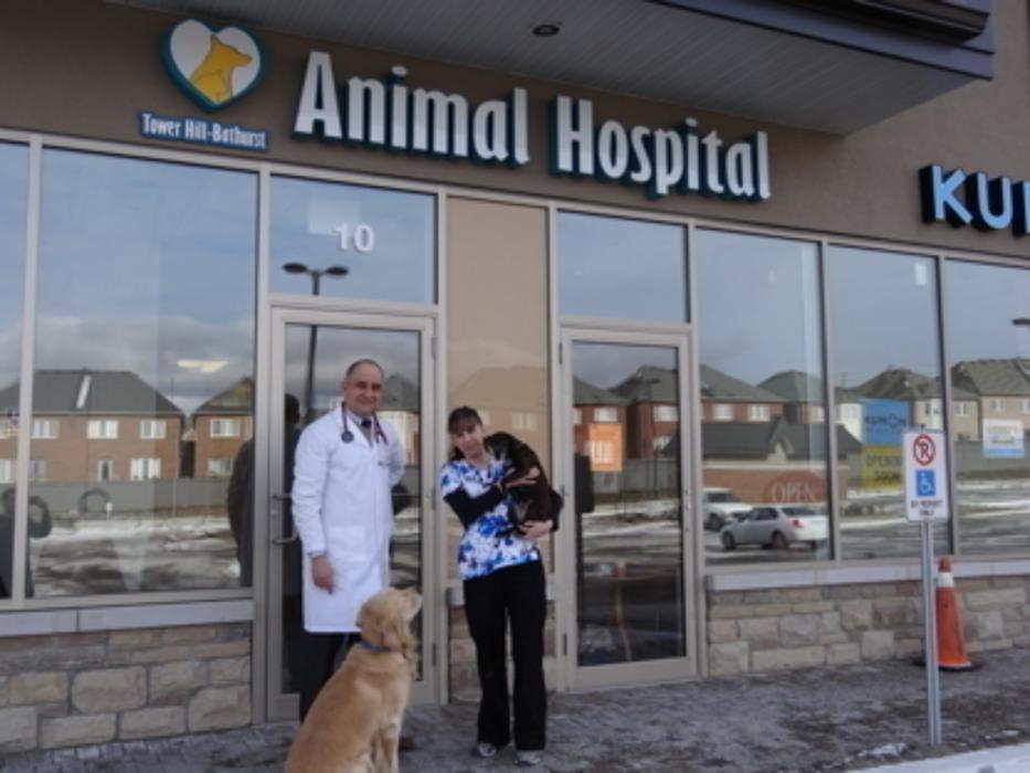 Tower Hill-Bathurst Animal Hospital