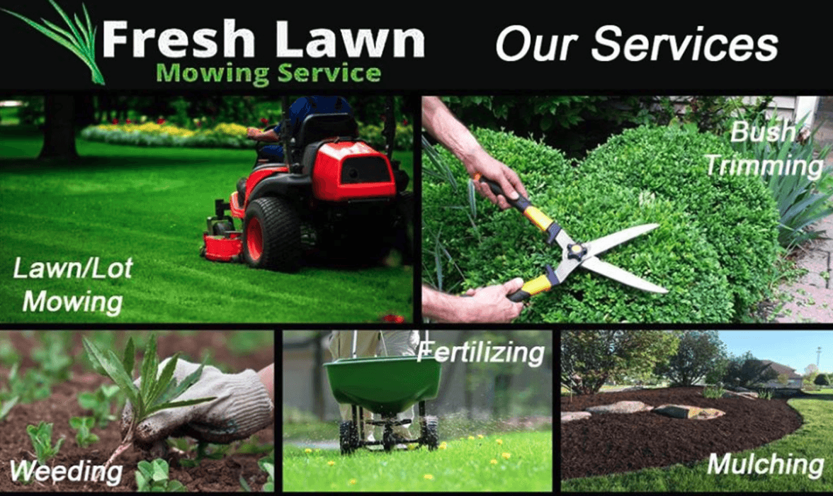 Fresh Lawn