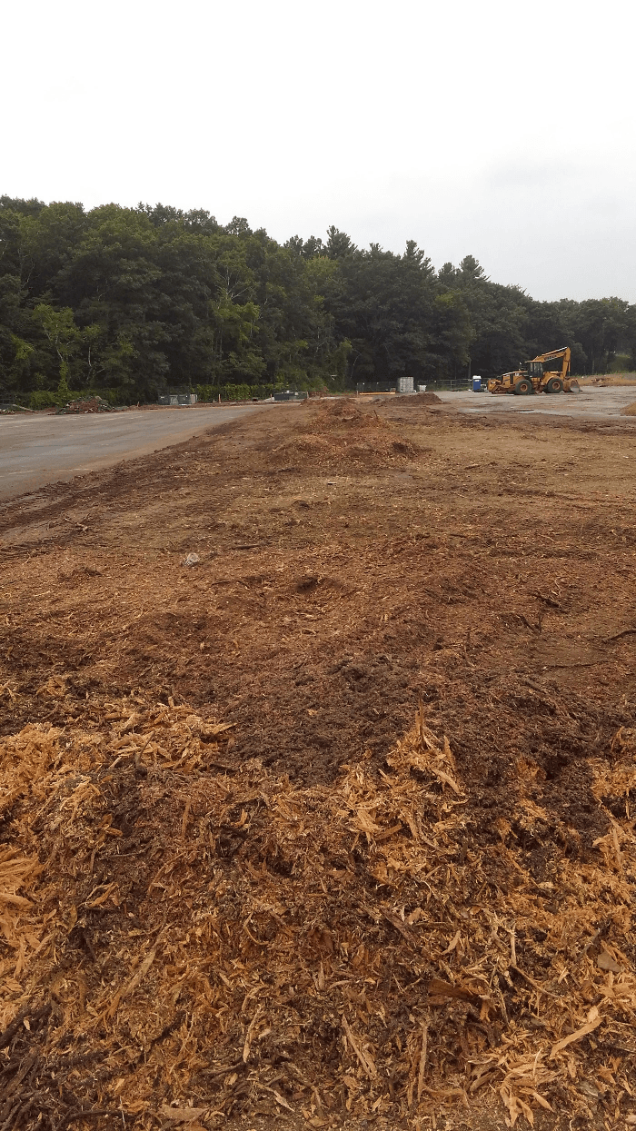 Big Beaver Stump Grinding