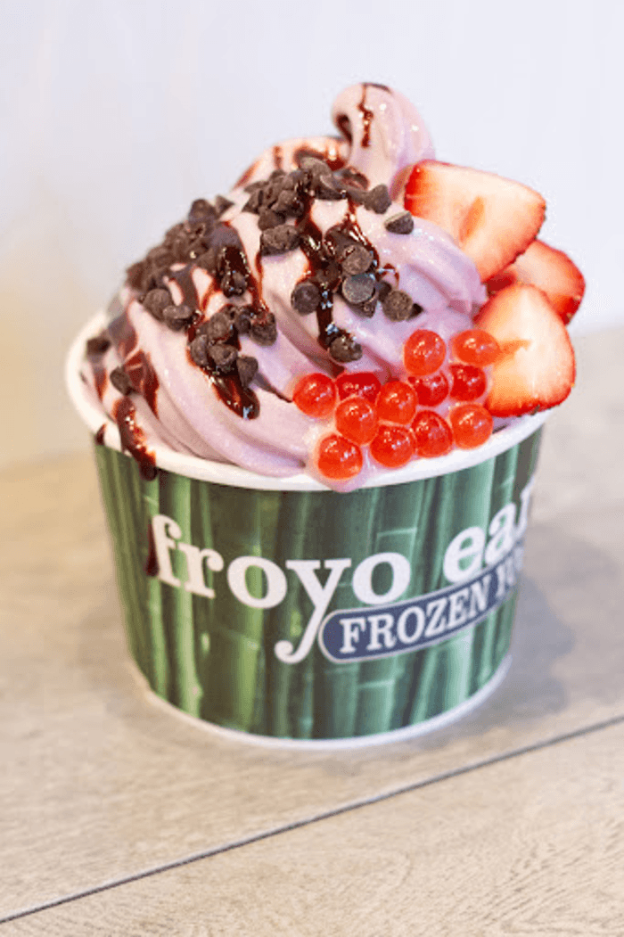 Froyo Earth