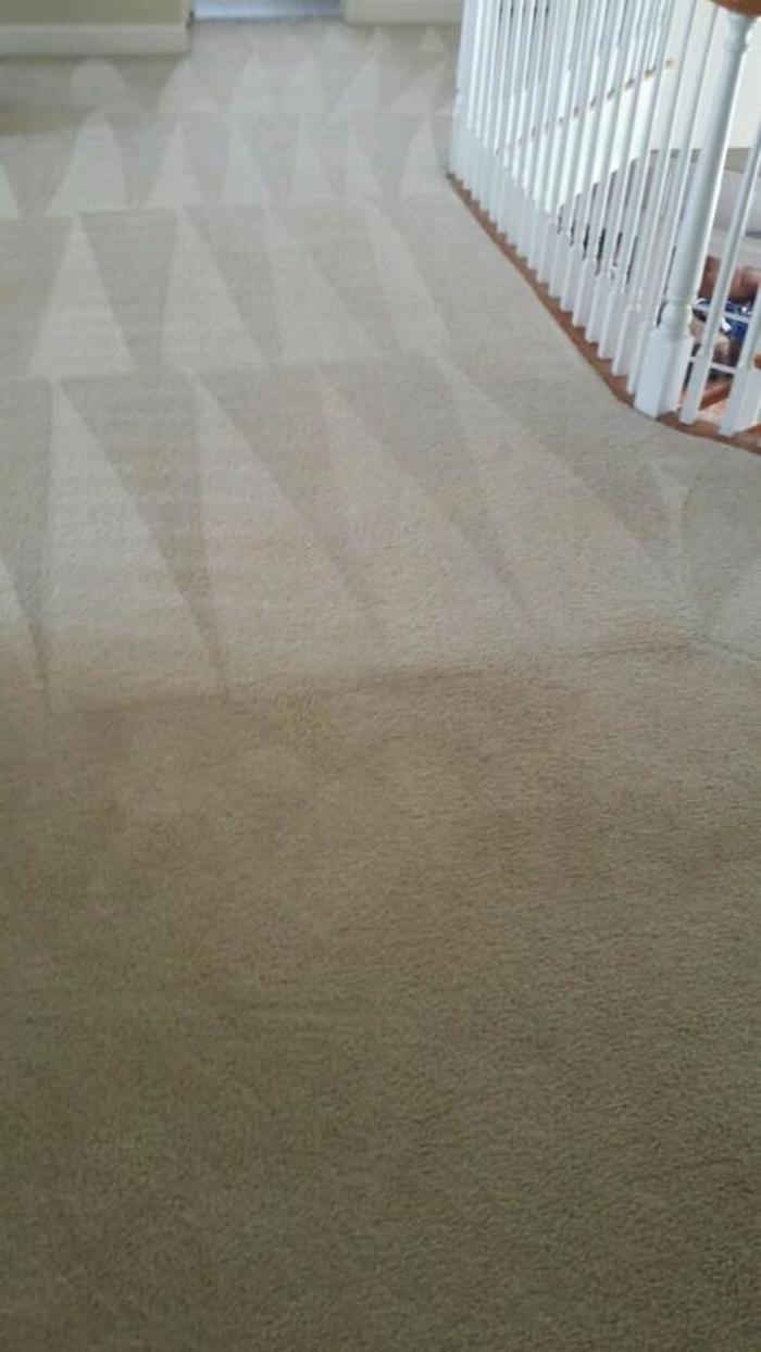 Marty's Carpet Cleaning