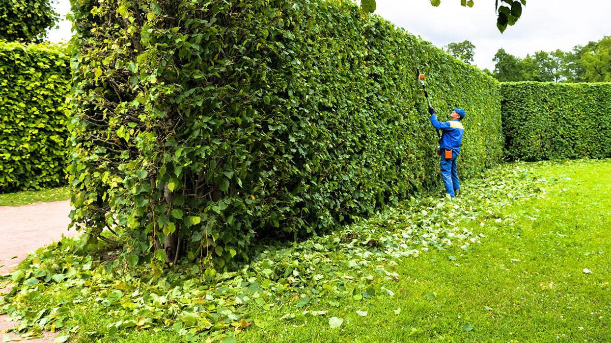 Atlanta's J & J Landscape & Tree Service