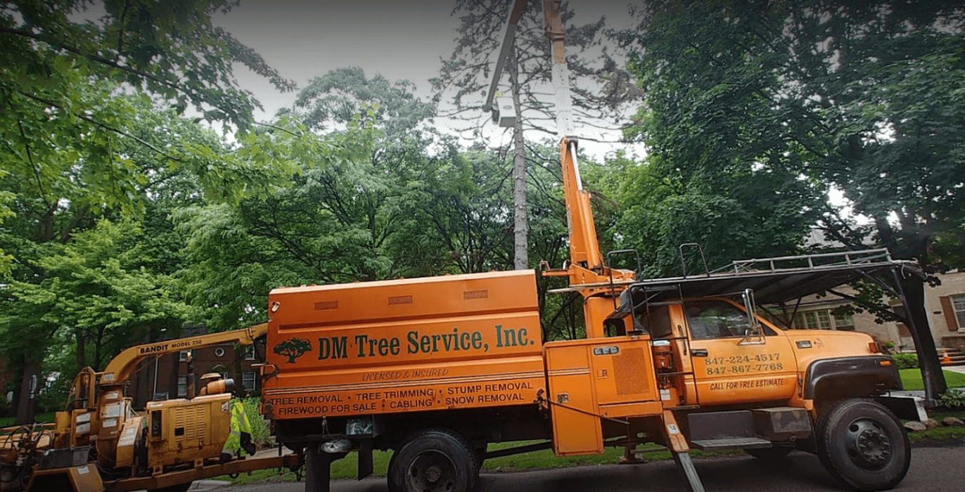 DM Tree Service