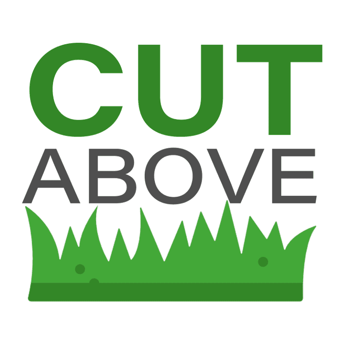 Cut Above