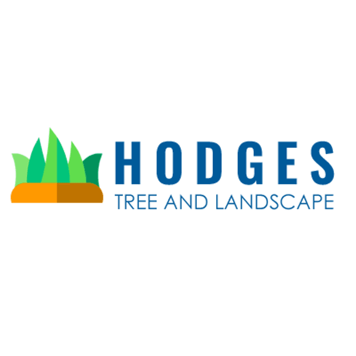 Hodges Tree and Landscape