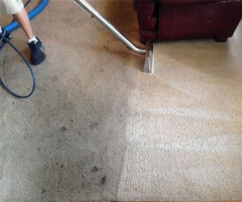 Nelson Carpet Cleaning